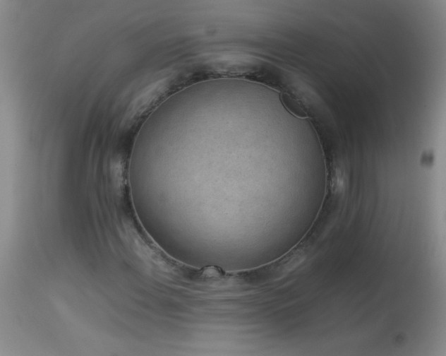 X0000114221108200910091341