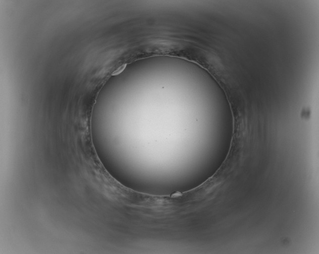 X0000114221109200910091341