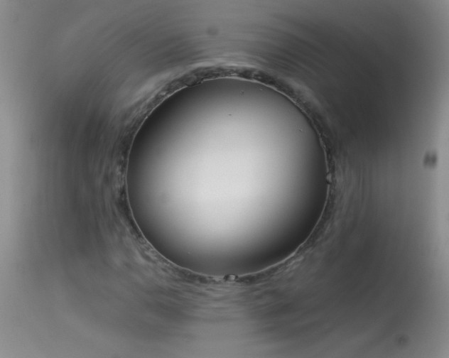 X0000114221110200910091341