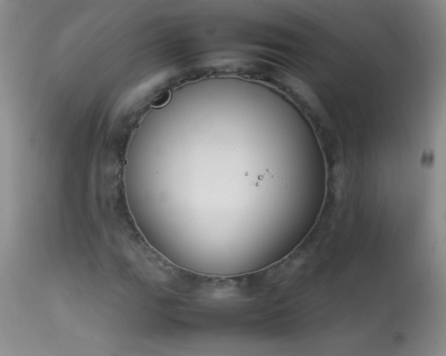 X0000114221111200910091341