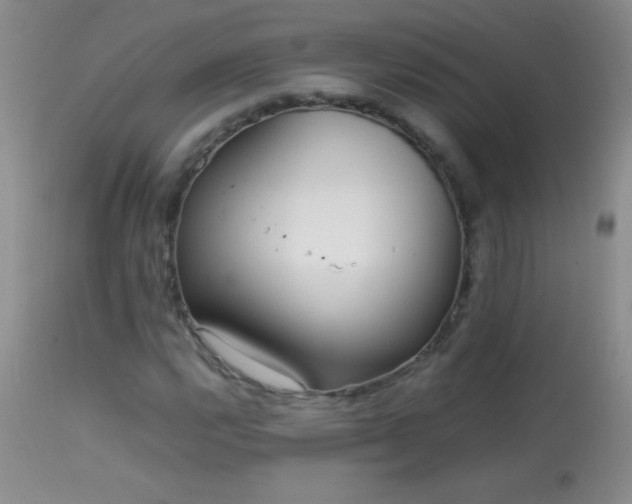 X0000114221112200910091341