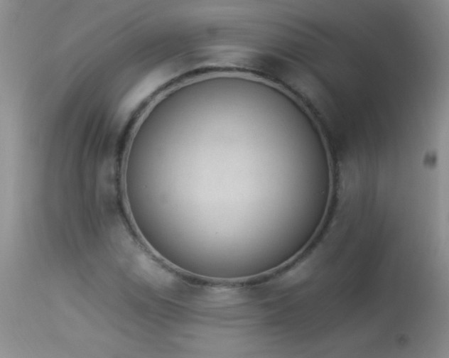 X0000114221114200910091341