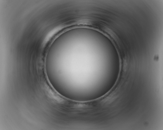 X0000114221115200910091341
