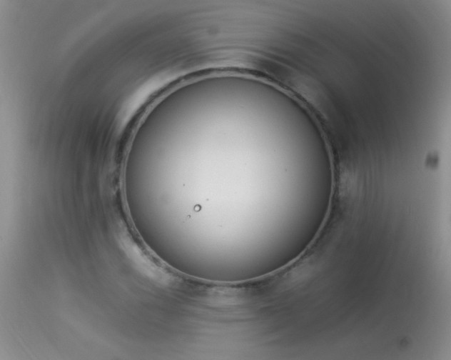 X0000114221116200910091341