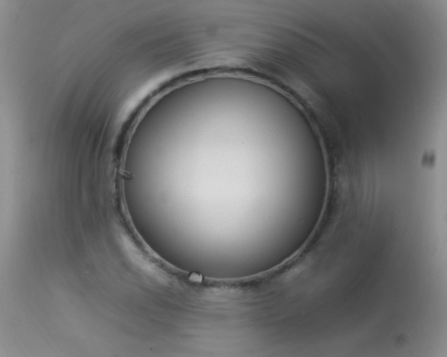 X0000114221118200910091341