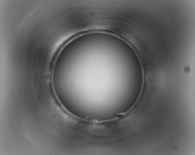 X0000114221119200910091341