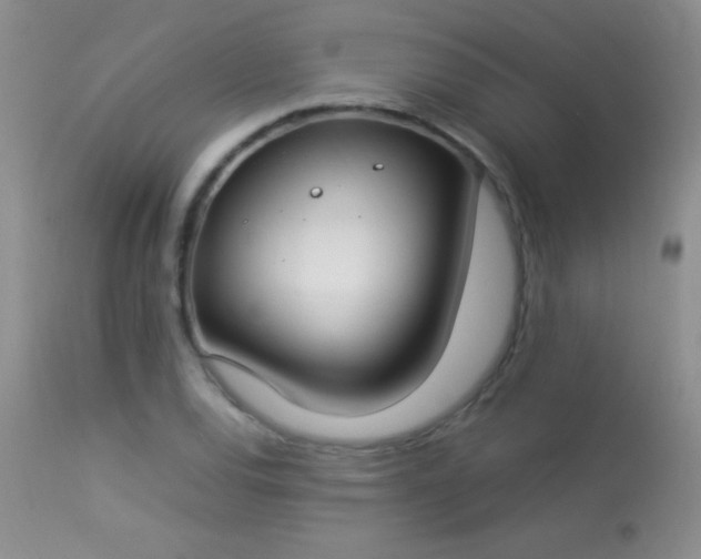 X0000114221120200910091341