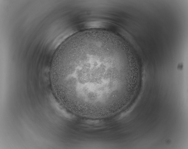 X0000114221121200910091341