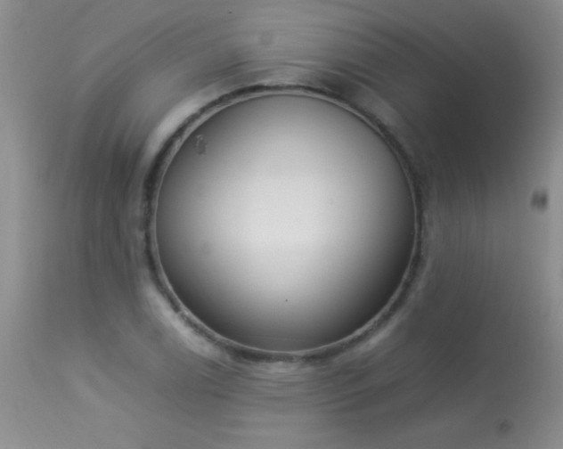 X0000114221122200910091341