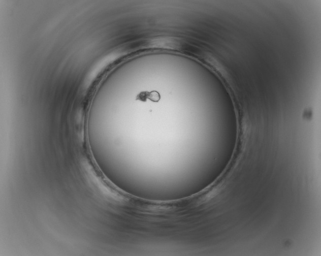 X0000114221123200910091341