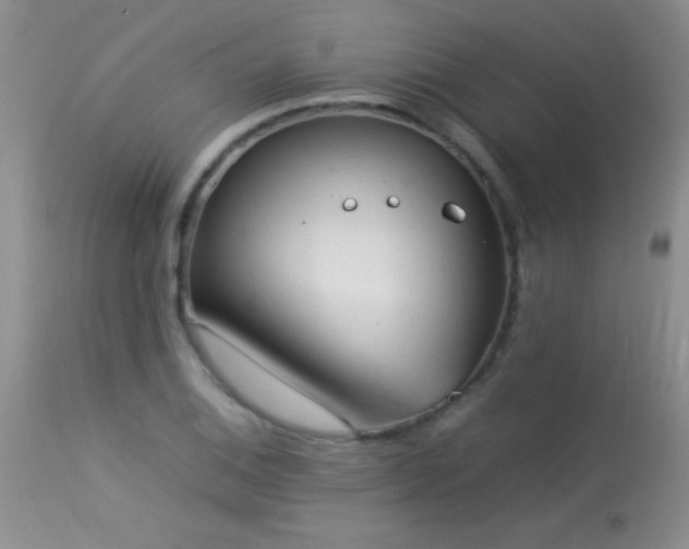 X0000114221124200910091341