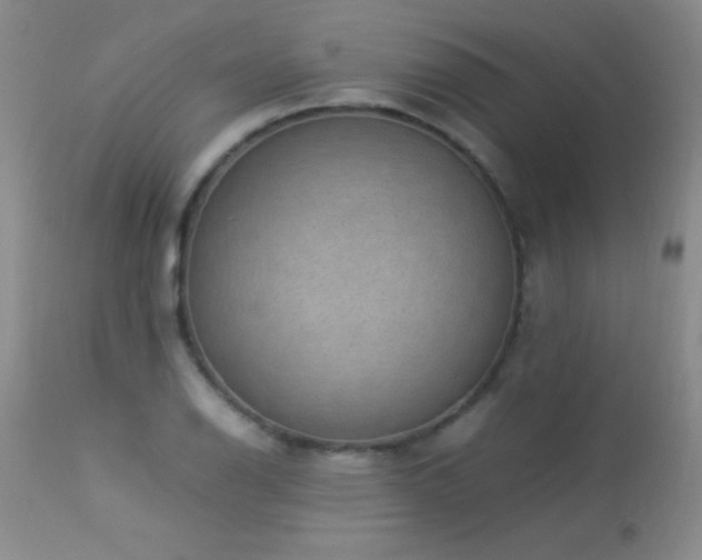 X0000114221126200910091341