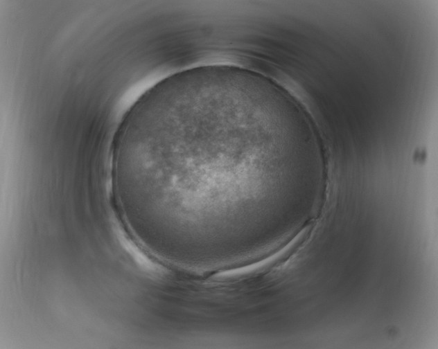 X0000114221127200910091341