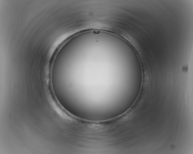 X0000114221128200910091341