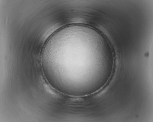 X0000114221129200910091341