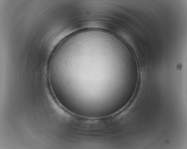 X0000114221133200910091341