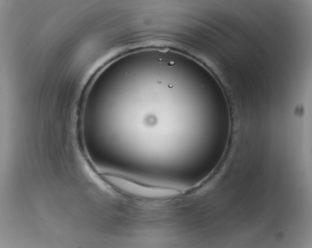 X0000114221134200910091341