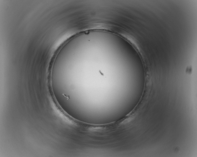 X0000114221135200910091341