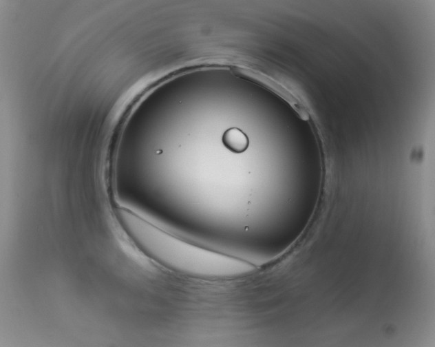 X0000114221136200910091341