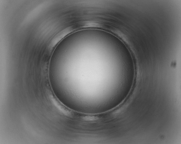 X0000114221137200910091341