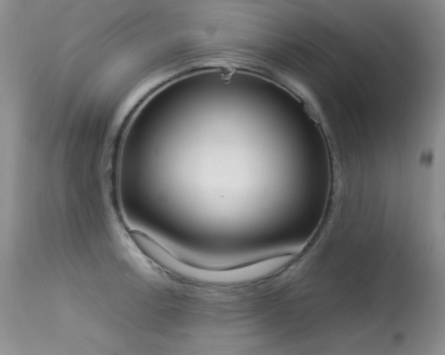 X0000114221138200910091341