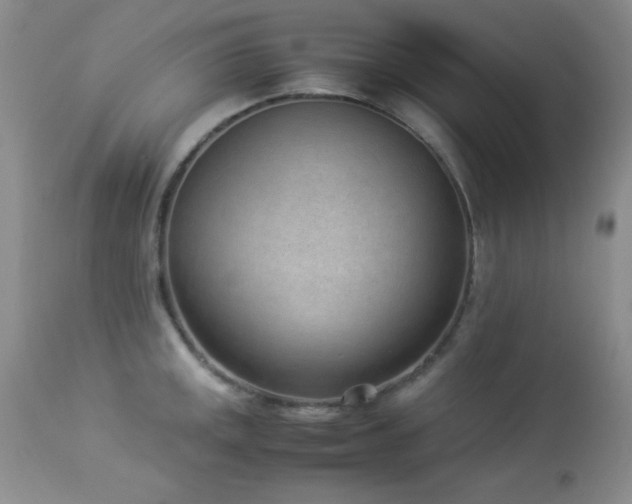 X0000114221141200910091341