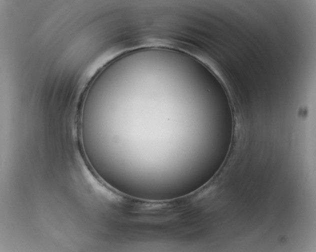 X0000114221143200910091341