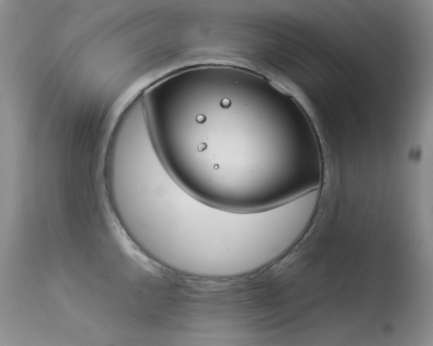 X0000114221144200910091341