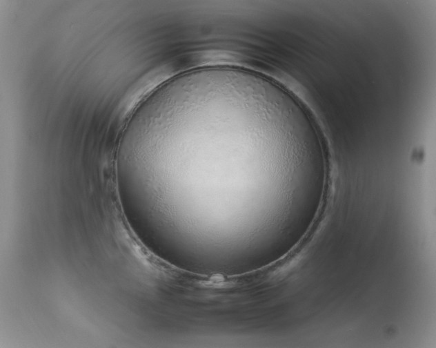 X0000114221145200910091341