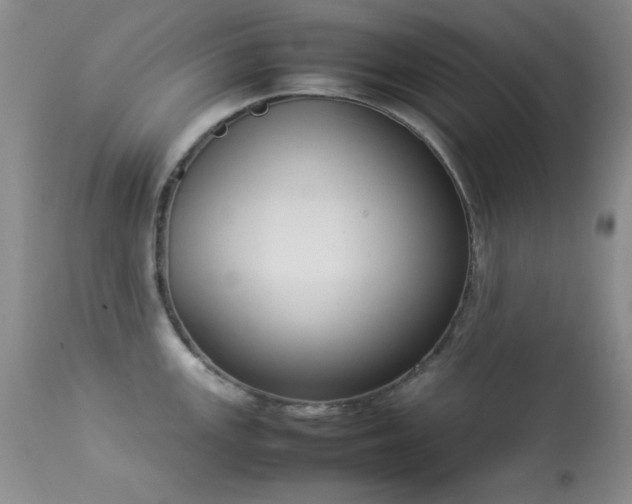 X0000114221147200910091341
