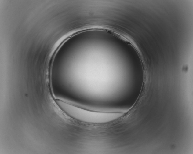 X0000114221148200910091341