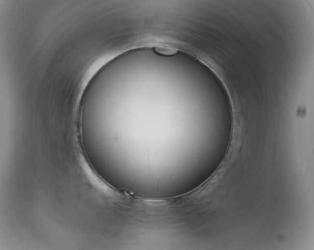 X0000114221152200910091341