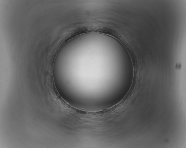 X0000114221153200910091341