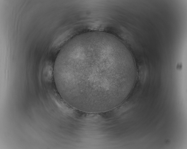 X0000114221154200910091341