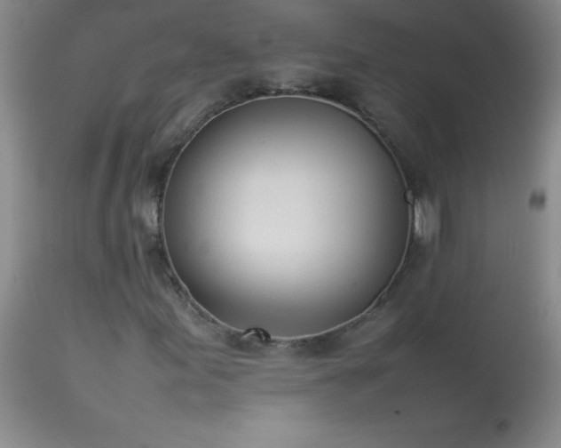 X0000114221155200910091341