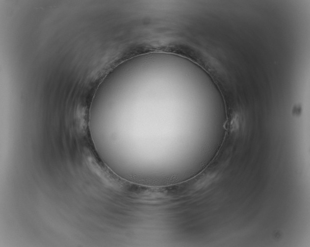 X0000114221156200910091341