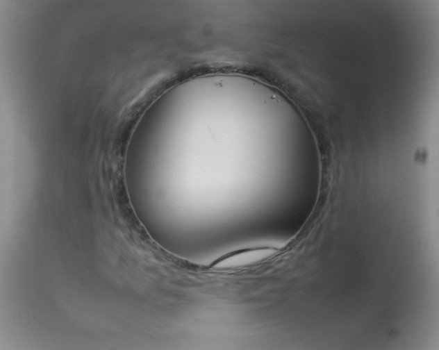 X0000114221157200910091341
