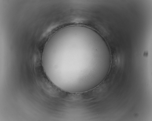 X0000114221158200910091341