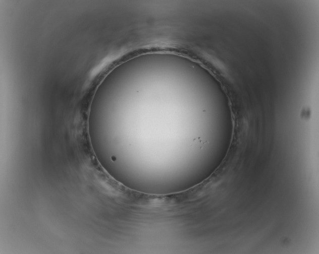 X0000114221160200910091341