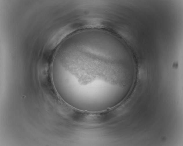 X0000114221161200910091341