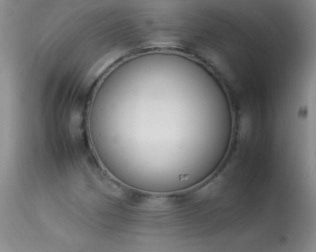 X0000114221162200910091341