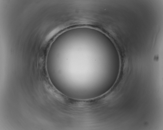 X0000114221163200910091341