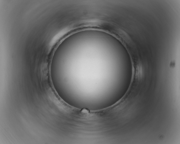 X0000114221164200910091341