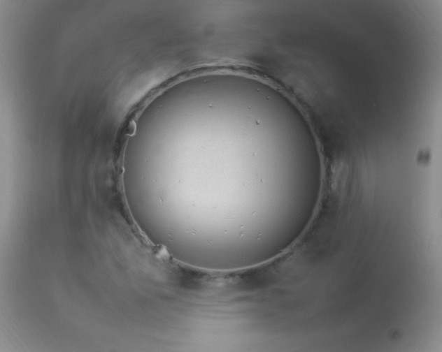 X0000114221165200910091341