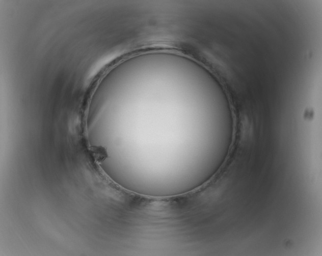 X0000114221166200910091341