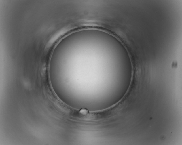 X0000114221167200910091341