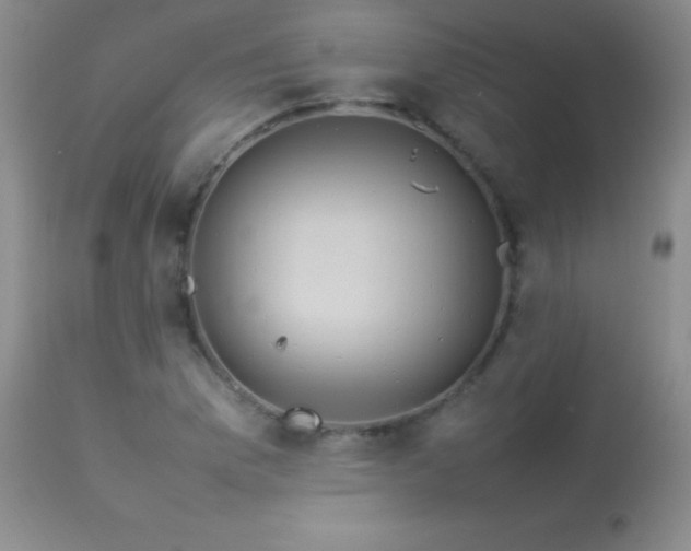 X0000114221169200910091341