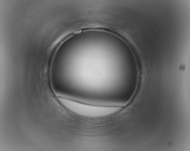 X0000114221173200910091340