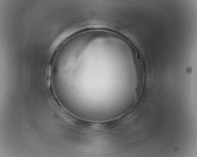 X0000114221175200910091340