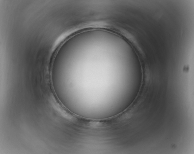 X0000114221176200910091340